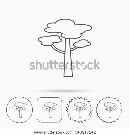 Pine tree icon. Forest wood sign. Nature environment symbol. Linear circle, square and star buttons with icons.