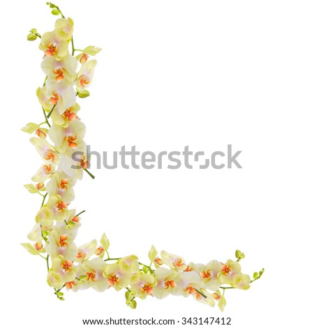 Letter made of orchids on white background