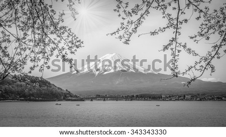 Mountain Fuji in spring , Cherry blossom Sakura , black and white