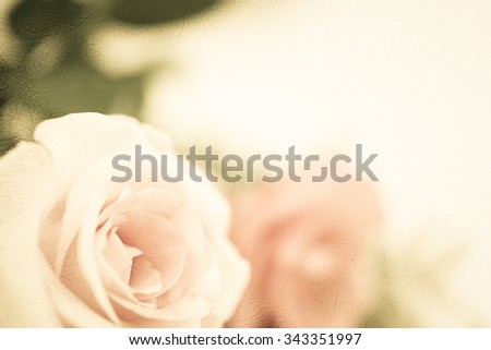 sweet color roses in vintage style for flora background