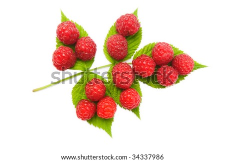 red raspberries fruits with leaves on white background