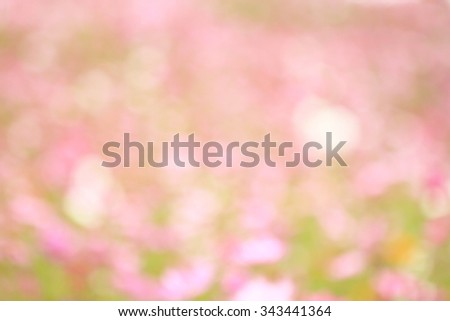 Abstract burr Fresh flower morning dew on spring grass, natural background
