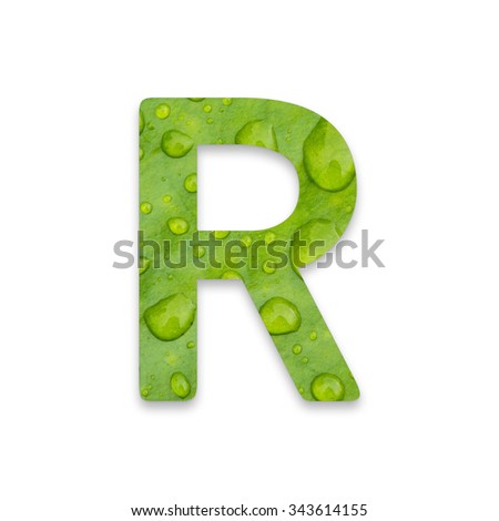 English alphabet from green leaf texture on white background