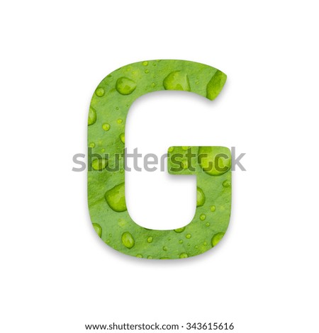 English alphabet from green leaf texture on white background