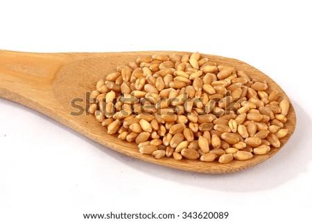 Wheat grain in wooden spoon
