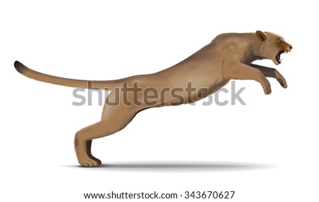 Puma attacks in the jump