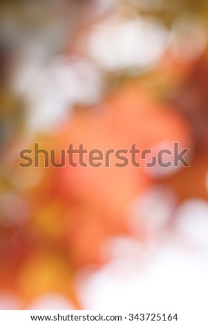 leaves in autumn as a blurry background