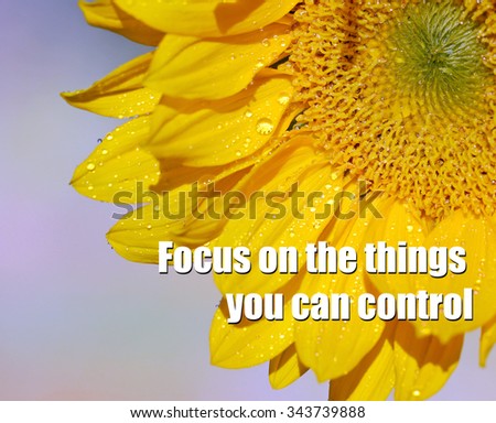 A sunflower with text Focus on the things you can control.
