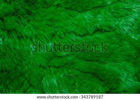 Close-up of lapin colored fur for texture or background