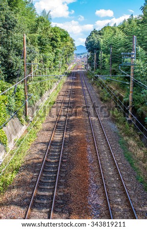 top view of an empty railroad in the vegetation