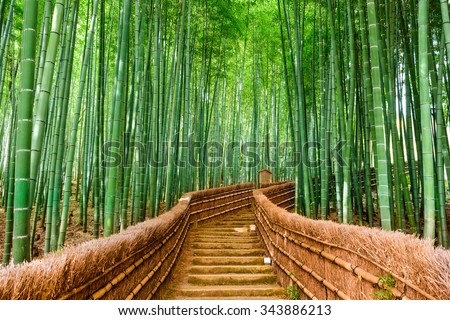 Kyoto, Japan at the Bamboo Forest. Royalty-Free Stock Photo #343886213