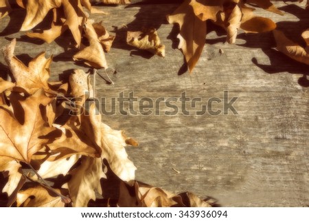 Autumn leaves on a wooden surface (soft focus). Cross processed image for vintage look. shallow depth of field 
