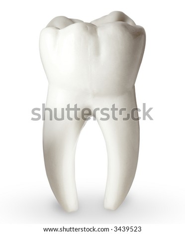 tooth Royalty-Free Stock Photo #3439523