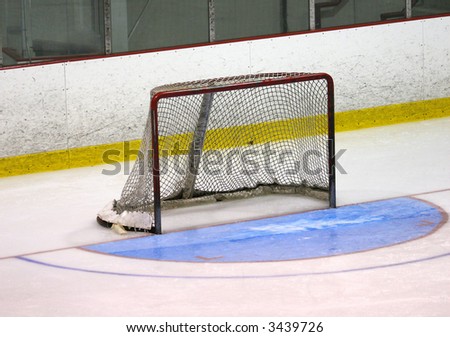 Side view of a hockey net and an older half-circle crease painted a nice shade of blue