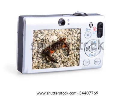 digital photo camera isolated on white background