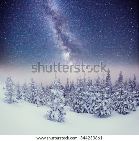 Dairy Star Trek in the winter woods. Carpathians, Ukraine, Europe