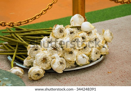 White Lotus Flower on tray