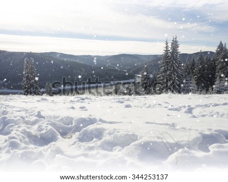 Christmas background with snowy fir trees. Winter snow background