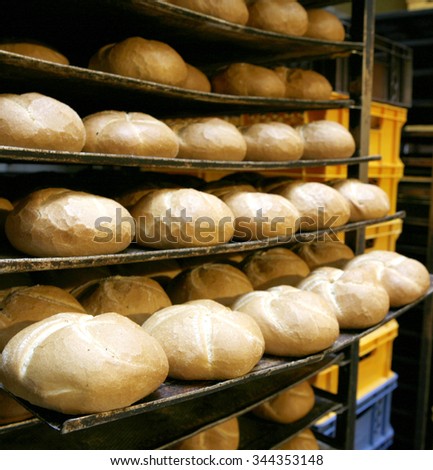 lots of bread on griddle in bakery