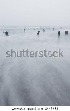 A sandy ocean beach with old time-worn stumps revealed at low-tide.  A mysterious blue-grey fog and mist lends a sense of quiet mystery.