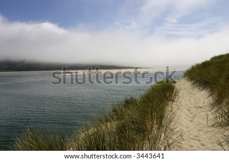 Sand dunes along the ocean with an access trail and footpath leading to the horizon (no people)