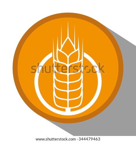  Barley concept with grains design, vector illustration 10 eps graphic.