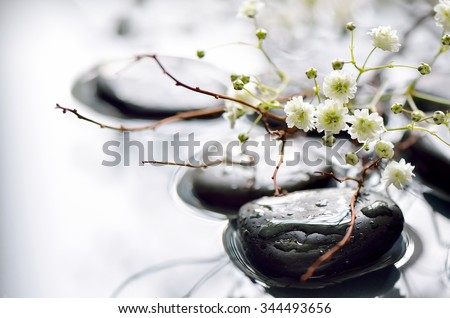 Spring branch under stones in water, spa spring concept