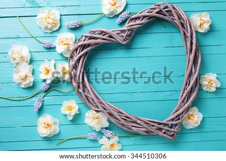 Decorative heart and fresh  spring  white narcissus and muscaries on green  painted  wooden background. Selective focus. St. Valentine Day or love concept.
