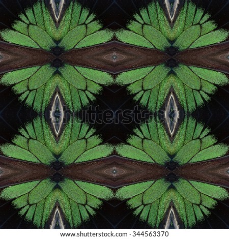 The fascinated velvet green background captured from Raja Brooke's Birdwing butterfly's wings texture