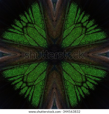 The black and velvet green background with cross brown made of Rajah Brooke's Birdwing butterfly's wing skind, beautiful emerald texture