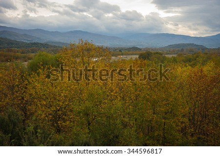 Image of colorful autumn fields, Livadia, Greece