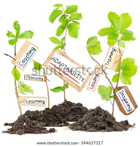 Photo of plants growing from soil heaps holding paper tags with ADAPTABILITY conceptual words