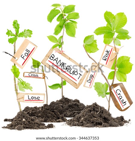 Photo of plants growing from soil heaps holding paper tags with BANKRUPT conceptual words