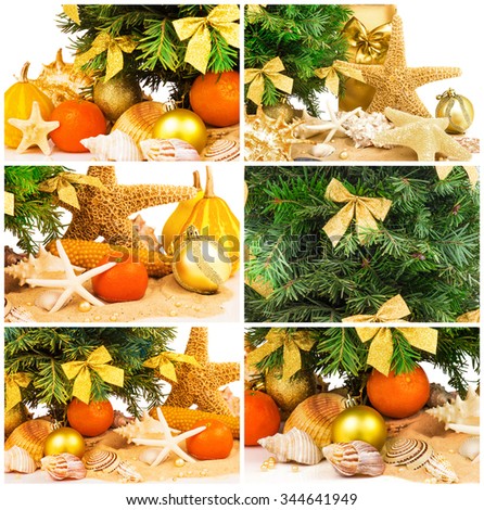 Christmas concept with fir twig, tangerines, shells on sand, set