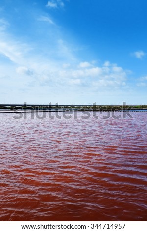 View of red water in a micro algae nursery of a large salina  Royalty-Free Stock Photo #344714957