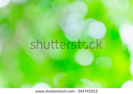 green bokeh background from nature under tree shade
