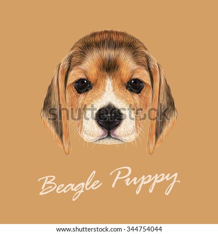 Beagle dog animal cute face. Vector fawn British beagle puppy head portrait. Realistic fur portrait of purebred brown beagle doggie isolated on beige background.