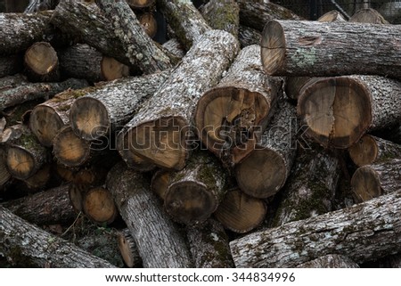 Stocks of wood for the winter