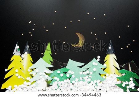 Night at Christmas forest