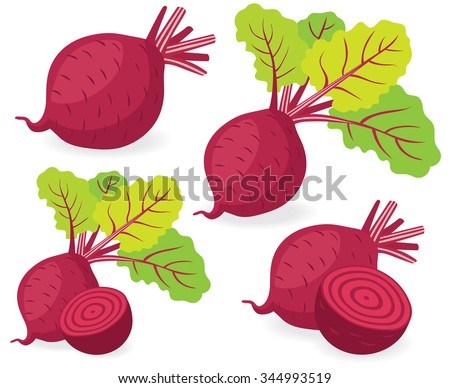 Vector beet. Red beetroot with leaves whole and cut isolated on white background, collection of vector illustrations Royalty-Free Stock Photo #344993519