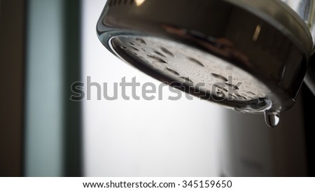 Close up of shower head in a bathroom