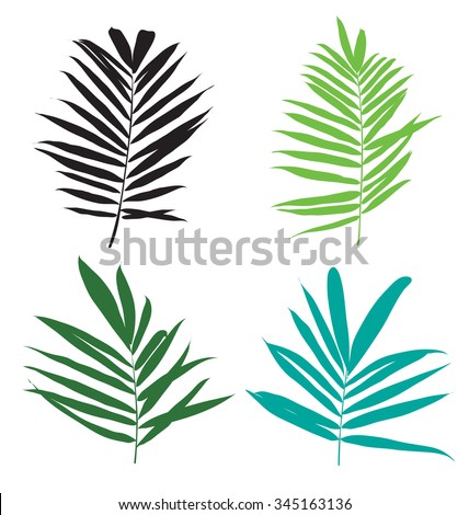 vector illustration of palm leaf set

