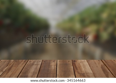 Wood table top on blurry organic farm background - Used for product display and business presentation template