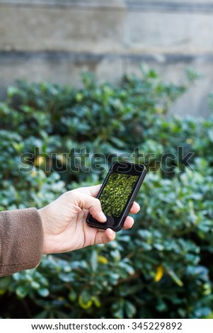 Man taking a picture with your mobile to some plants