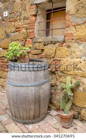 Barrel with cactus near the old wall in Tuscany city in Italy