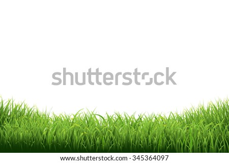 Green Grass Border, Vector Illustration