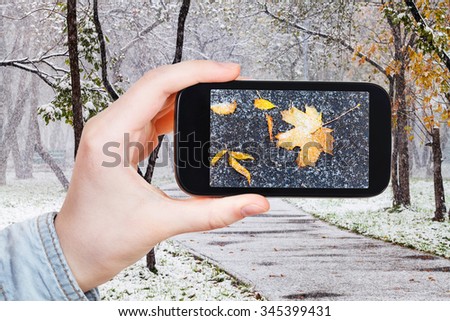 season concept - man taking picture of fallen leaves in first snow in urban park on smartphone