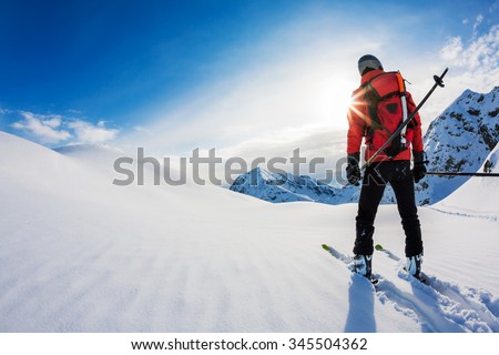 Skiing: rear view of a skier in powder snow. Italian Alps, Europe.