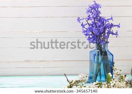 Background with  blue flowers  and white spring flowering branches of trees  on turquoise painted wooden planks. Selective focus. Place for text.

