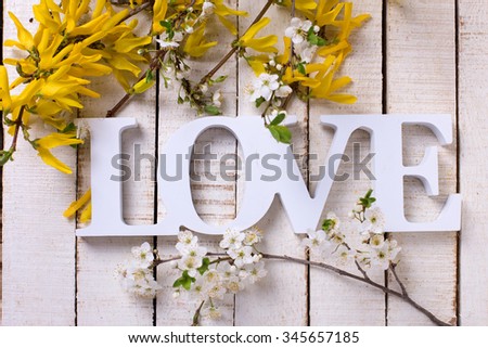 Word love and flowering branches with yellow and white flowers on white painted wooden  background.